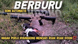 PCP SEMI AUTOMATIS TERBAIK DIKELASNYA🔥🔥🔥 SIAPA YANG TIDAK CANDU BERBURU RUAK RUAK DISINI‼️ [upl. by Anitan]