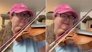 Day 8 a month of fiddle waltzes  Clementine twopart harmony violin [upl. by Liemaj]