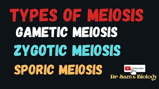 Types of Meiosis Gametic Zygotic Sporic [upl. by Akimad]