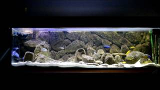 Malawi Dream Utaka Tank 9 months [upl. by Eitnom801]