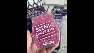 ScentSpirations Scentsy Black Raspberry Vanilla Bundle [upl. by Flavio65]