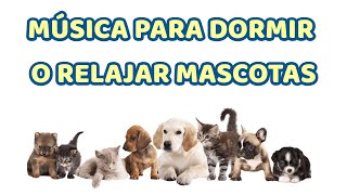 ♫🐶 MUSICA para RELAJAR PERROS y GATOS ♫🐱 11 HORAS  Calmar y Relajar 💤 FUNCIONA [upl. by Anyd]