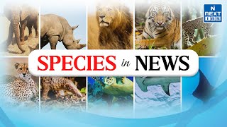 Species In News  Environment amp Ecology Current Affairs  UPSC [upl. by Dowlen]