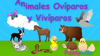 Animales ovíparos y vivíparos para niños  Videos educativos para niños [upl. by Brag]