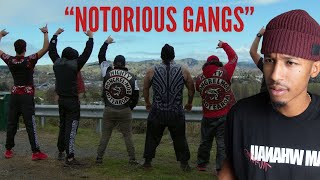 American Reacts to Inside New Zealands Mongrel Mob Gang  Wairoa [upl. by Eitsrik]