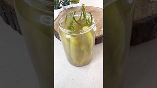 Fermented Green Chilli ये रखेंगी सर्दीजुखाम से दूर healthy nutrition food [upl. by Neeliak]