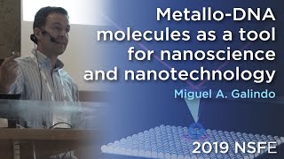 MetalloDNA molecules as a tool for nanoscience and nanotechnology  Miguel A Galindo  2019NSFE [upl. by Wernick820]