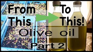 Pure Unfiltered Extra Virgin Olive Oil Part 2 unfilteredoliveoil olives [upl. by Jenni214]