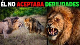 La Naturaleza CREA MONSTRUOS  Leones Rekeros DOCUMENTAL COMPLETO [upl. by Elden407]