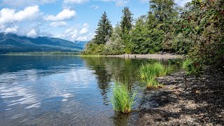 LAKE QUINAULT Olympic Peninsula WA USA 4K [upl. by Dopp909]