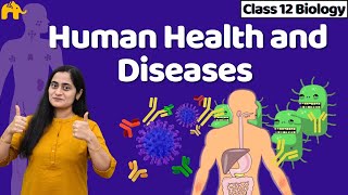 Human Health and Diseases Class 12  Biology NCERT Chapter 7 One Shot  CBSE NEET [upl. by Lali]