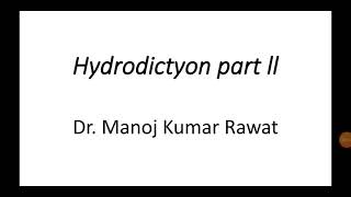 Botany Hydrodictyon part ll [upl. by Waechter662]