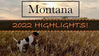 Montana HIGHLIGHTS 22 Tons of action [upl. by Virginie]