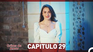 Gritos de Amor Capitulo 29 Doblaje En Español [upl. by Fayina509]