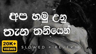 අප හමු උන තැන තනියෙන්  Apa Hamu Unu Thana Apa Hamu Una Thana Slowed Reverb [upl. by Ackler]