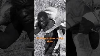 Dwarf hunters are very strong and toughhadzabetribe africa hunting [upl. by Elliott]