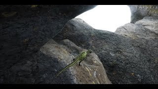 Troodon  Nesting In The Underworld  Hunting Clips  The Isle [upl. by Leksehcey]