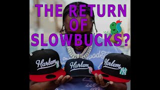 The Rise and Fall of SlowBucks Can It Make a Comeback in 2025 [upl. by Isidro]