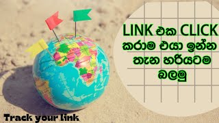 The Ultimate Tool for Tracking Website Visitors  GRBIFY explain in sinhala  LinX LK [upl. by Noami893]