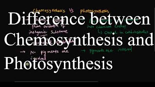 Chemosynthesis vs photosynthesis [upl. by Akeinahs]