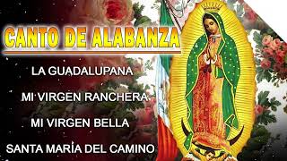 Alabanzas a la Virgen de Guadalupe  La Virgen De Guadalupe  Canciones a la Virgen De Guadalupe [upl. by Osyth]