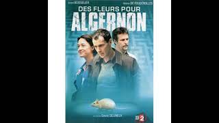 Des fleurs pour Algernon 7 [upl. by Sloatman]