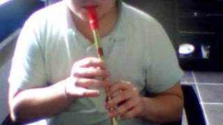 Titanic theme on Tin whistle [upl. by Spatola992]