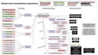 Intraabdominal Hypertension IAH amp Abdominal Compartment Syndrome ACS [upl. by Pfosi811]