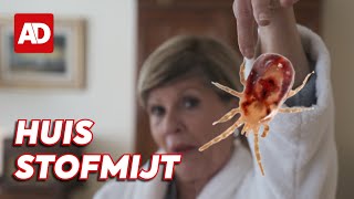 Hoe maak je je slaapkamer huismijtvrij 🎥 Schoonmaken met Marja [upl. by Rizzo]