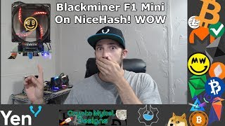 F1 Mini Update  BlackMiner F1 Mini On NiceHash Profitable [upl. by Naruq]