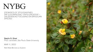 Systematics of Stylosanthes Sw Leguminosae – Papilionoideae – Dalbergieae [upl. by Ingar114]