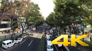 Omotesando Avenue  Tokyo  表参道 – 4K Ultra HD [upl. by Emerson677]