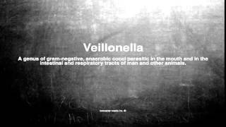 Medical vocabulary What does Veillonella mean [upl. by Scrogan897]