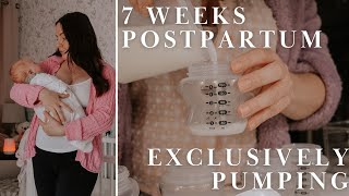 Daily Diaries  7 weeks postpartum Exclusively Pumping 🤱🏻 [upl. by Aelram]