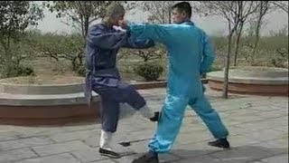 Shaolin Kung Fu 20 fight techniques [upl. by Skipper]