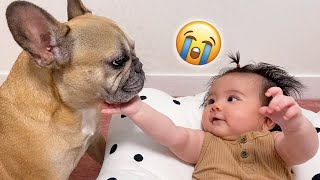 Cutest Dog And Baby Moments Dog Adopts Baby As Her Own [upl. by Rohn851]