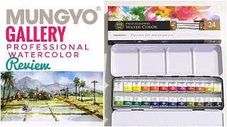 Mungyo Professional Watercolors  Are these really Artist grade [upl. by Mani]