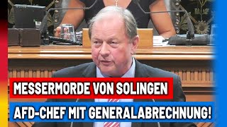 Messermorde von Solingen Wir werden zu Schutzsuchenden im eigenen Land [upl. by Chen]