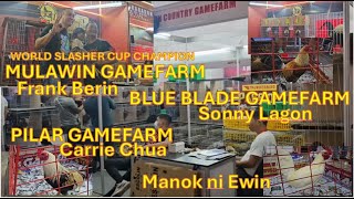 Gamefowl Expo w price Sonny Lagon Gamefarm Mulawin GF Carrie Chua Paul Spark Grey Kelso Sweater [upl. by Mahala321]