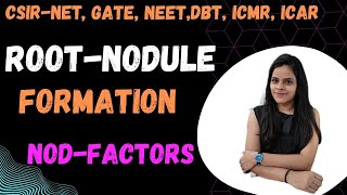 Root Nodule Formation  NodFactors CSIRNET GATE DBT ICMR ICAR NEET Msc Bsc [upl. by Edee775]