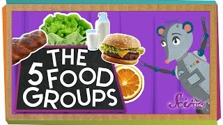 The 5 Fabulous Food Groups [upl. by Ysus]