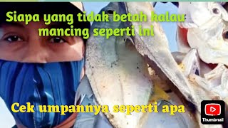 Mancing beby gt dipemecah ombak hasilnya bikin ketagihan ultralight fishing [upl. by Aninotna345]