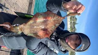 Big Squid Portsea Pier like fishing life youtube fyp yosha 🦑🔥 [upl. by Hailee]