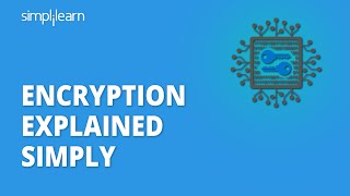 Encryption Explained Simply  What Is Encryption  Cryptography And Network Security  Simplilearn [upl. by Ajnotal]