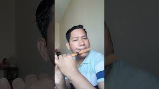 Chalyo Batasa चल्यो बतास Chalyobatasa youtubeshorts nepalisong shortvideo flute Basuridhun [upl. by Clyde990]