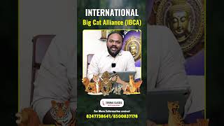 International Big Cat Alliance IBCA IBCA TirumalClasses Tutions CAT Opportunities Problems [upl. by Erodasi520]