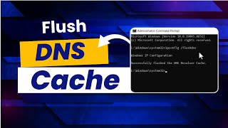 How to Fix Slow Internet Flush DNS and IP Cache in 5 Easy Steps [upl. by Thurstan]