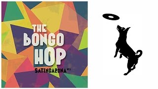 The Bongo Hop ft Pao Barreto  Nos Coje La Tarde Audio [upl. by Nonnaer]