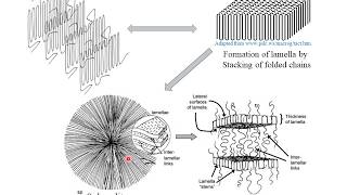 Polymer Crystallization  Hindi [upl. by Hogan]