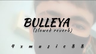 BULLEYA ll full song lyrics slowedreverb lofi lyrics lofi lofisong BULLEYA 4xmusic88 [upl. by Aiselad]